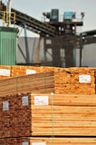 09 April 2012 - Bundled wood products are seen at a log mill beside the Fraser River, in Surrey, B.C., Canada. Credit: Adrian Brown - N49Photo.
