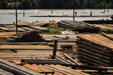 21 July 2012 - Wood products are seen at a Stella-Jones operations and wood treating facility beside the Fraser River, in New Westminster, B.C., Canada. Credit: Adrian Brown - N49Photo.