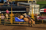 03 August 2012 - A contestant rides a horse during a rodeo event at the Abbotsford Agrifair & Rodeo, in Abbotsford, B.C., Canada. Credit: Adrian Brown - N49Photo.