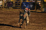 03 August 2012 - A contestant rides a horse during a rodeo event at the Abbotsford Agrifair & Rodeo, in Abbotsford, B.C., Canada. Credit: Adrian Brown - N49Photo.
