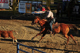 03 August 2012 - A contestant throws his rope during the rodeo tie down event, at the Abbotsford Agrifair & Rodeo, in Abbotsford, B.C., Canada. Credit: Adrian Brown - N49Photo.