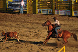 03 August 2012 - A contestant ropes a calf during the rodeo tie down event, at the Abbotsford Agrifair & Rodeo, in Abbotsford, B.C., Canada. Credit: Adrian Brown - N49Photo.