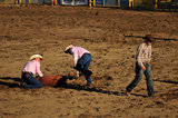 03 August 2012 - Men release a calf after a contestant completes the rodeo tie down event, at the Abbotsford Agrifair & Rodeo, in Abbotsford, B.C., Canada. Credit: Adrian Brown - N49Photo.