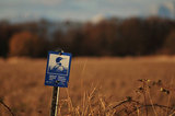 26 February 2012 - A National Wildlife Area sign is seen posted beside a field on Westham Island, in Delta, B.C., Canada. Credit: Adrian Brown - N49Photo.