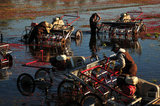 05 October 2012 - Workers pull debris from the blades of their harvesting machines in a flooded field at a farm owned by Richberry Group of Companies, reportedly the largest grower in Canada, in Richmond, B.C., Canada. Credit: Adrian Brown - N49Photo.