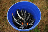 01 October 2012 - Tools used to harvest grape bunches are seen at Domaine de Chaberton Estate Winery, in Langley, B.C., Canada. Credit: Adrian Brown - N49Photo.