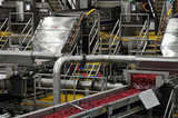 22 October 2012 - Cranberries are moved along a conveyor system at the brand new, state-of-the-art Ocean Spray of Canada Ltd., Richmond Receiving Station, in Richmond, B.C., Canada. Credit: Adrian Brown - N49Photo.